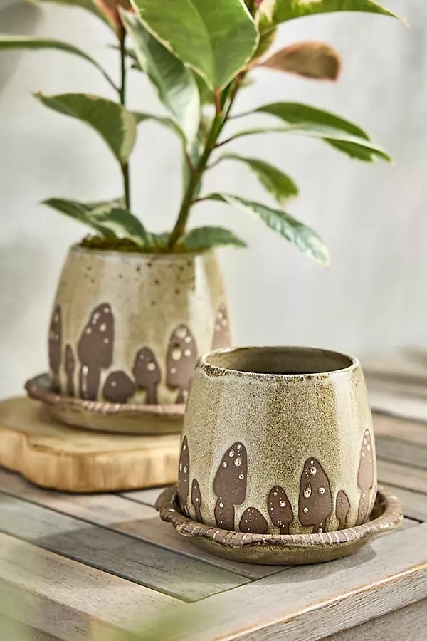 Mushroom Ceramic Pot + Saucer Set - Image 0