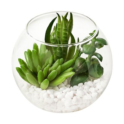 3 Piece Artificial Succulent Plant in Pot Set - Image 1