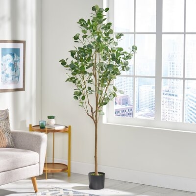 Aanya Artificial Eucalyptus Tree in Pot - Image 1