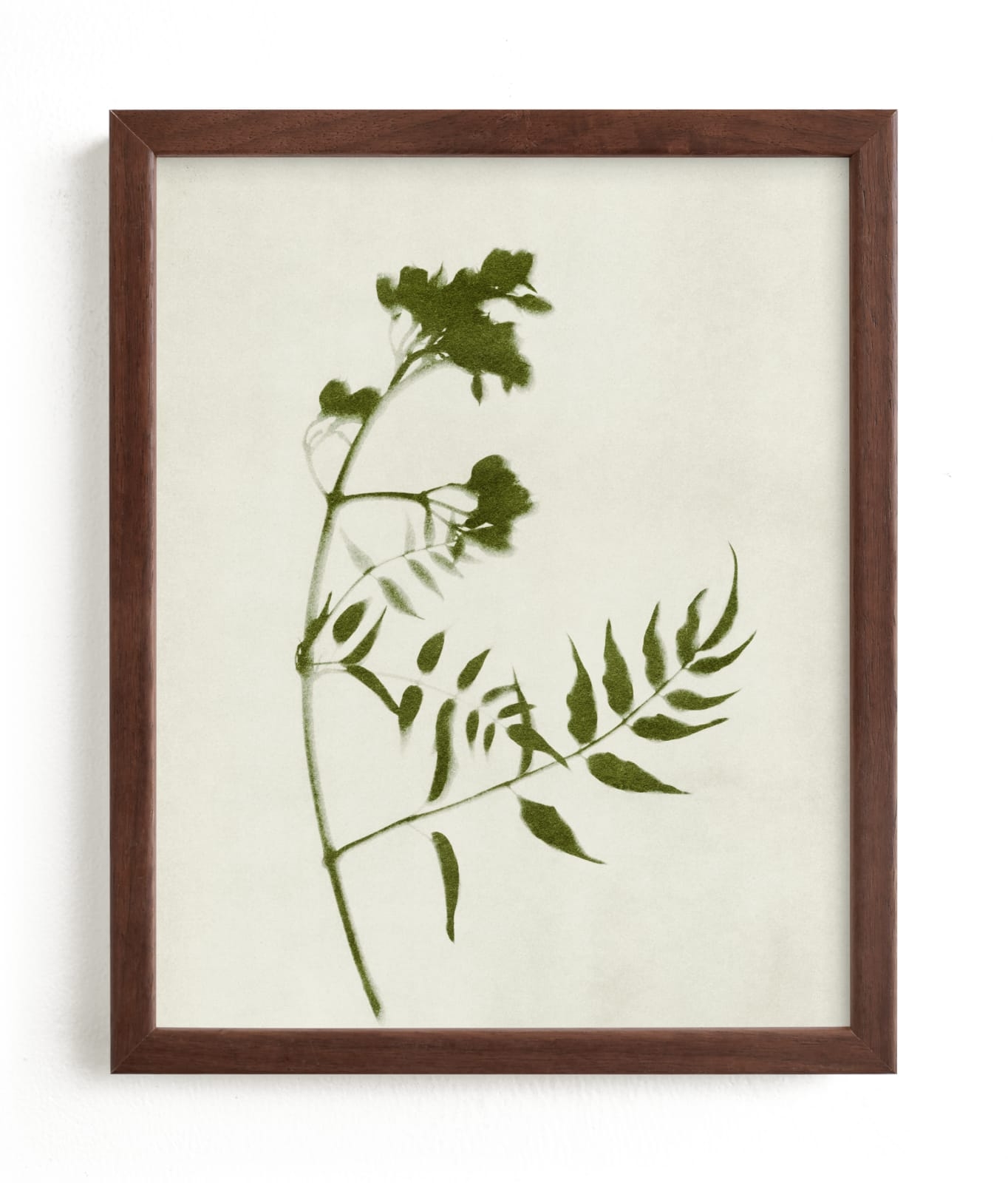 Foraged I Limited Edition Fine Art Print 2 - Image 0