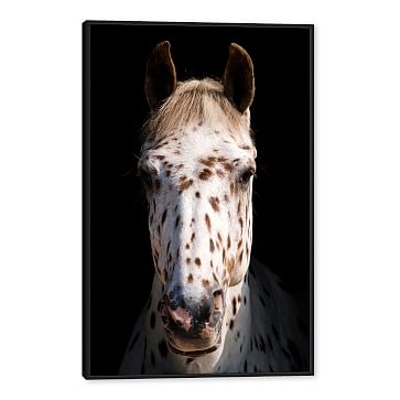 Spotted Stallion Wall Art, Small - Image 0
