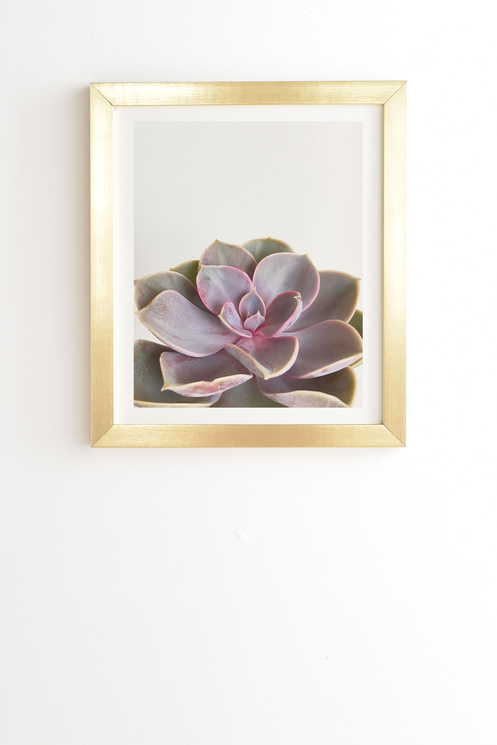 Purple Succulent by Cassia Beck - Framed Wall Art Basic Gold 11" x 13" - Image 0