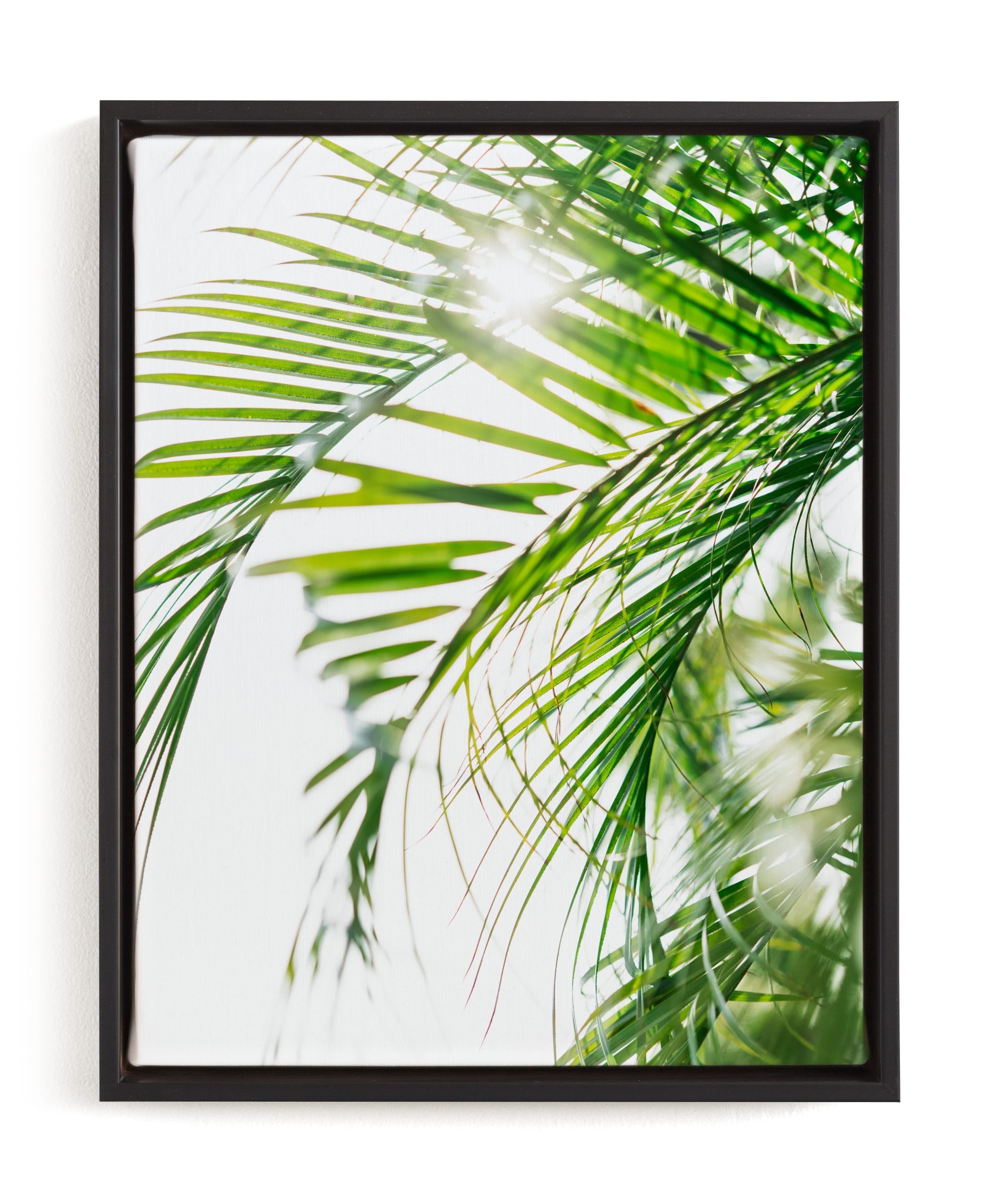 Palm 3 Limited Edition Fine Art Print 1 - Image 0