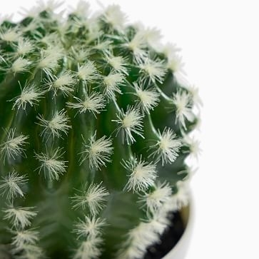 Faux Potted Powderpuff Cactus Plant, 8'' - Image 2