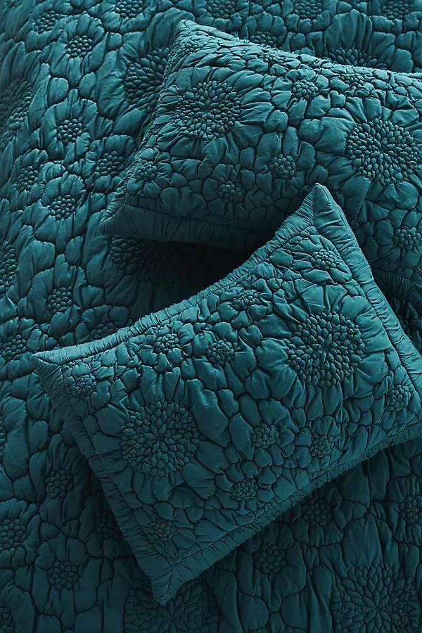 Dahlia Cotton Jersey Floral Shams, Set of 2 - Image 0