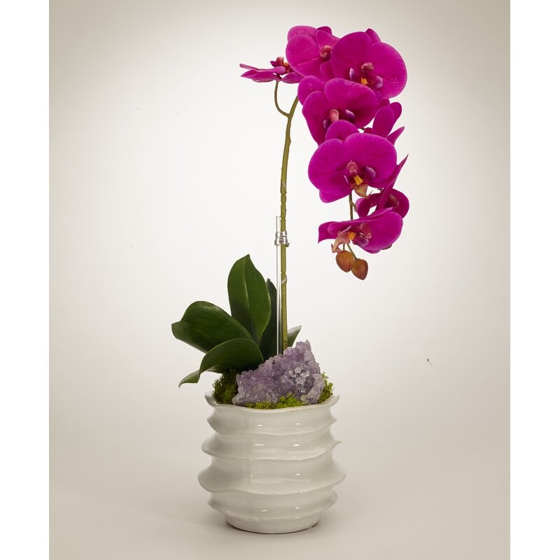 T&C Floral Company Orchid in Container with Amethyst - Image 0