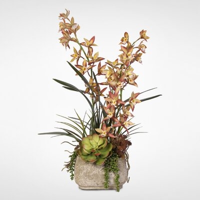 Flowering Plant in Pot - Image 0