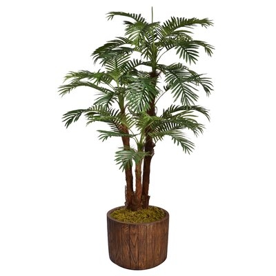 Floor Palm Tree in Planter - Image 0