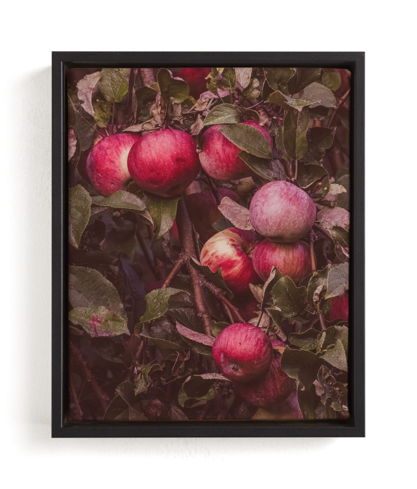 Apple Season Limited Edition Fine Art Print 2 - Image 0