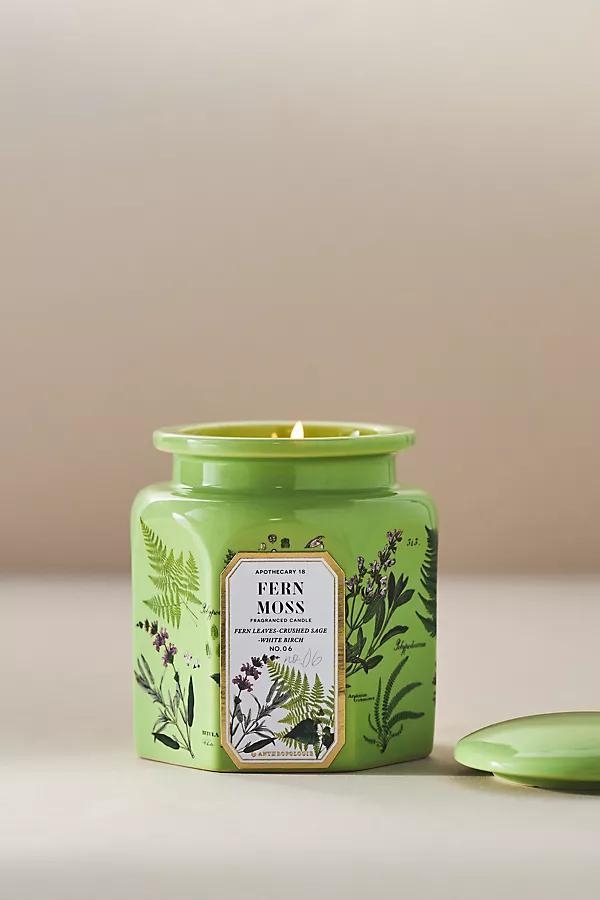 Apothecary 18 Fresh Fern Moss Ceramic Jar Candle - Image 0