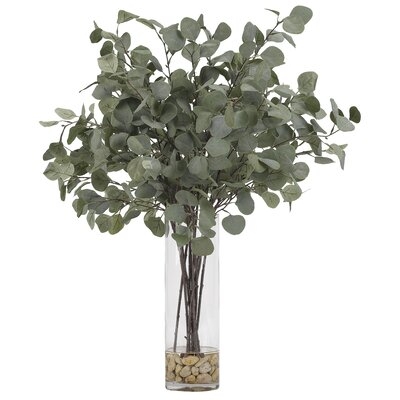 Dollar Eucalyptus Plant - Image 0