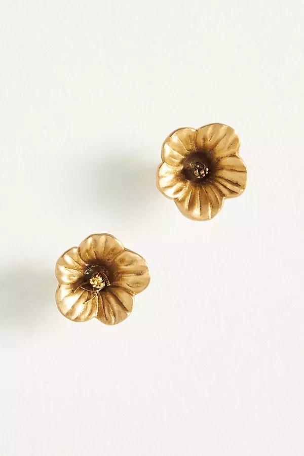 Hibiscus Knobs, Set of 2 - Image 0