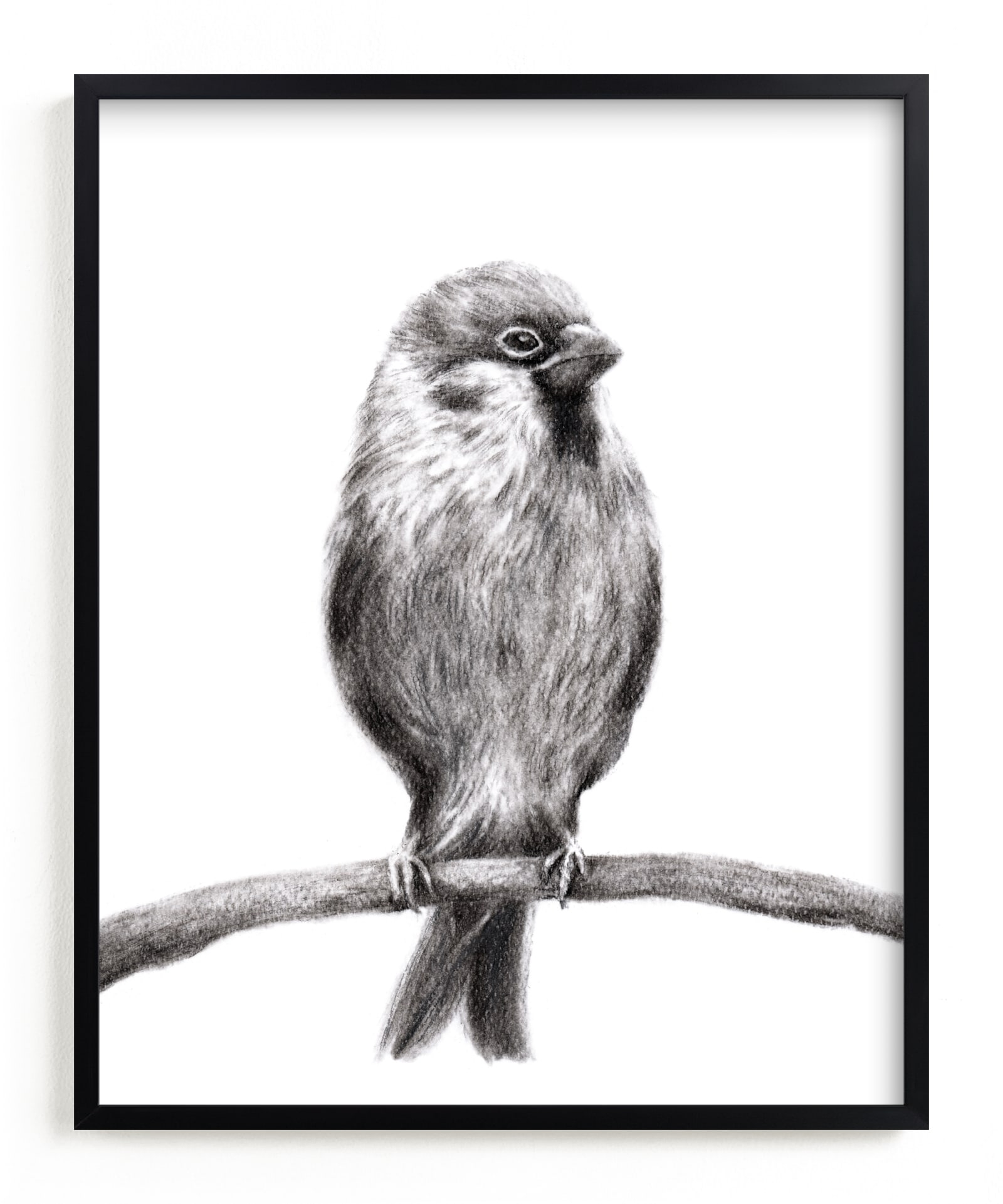 Little Sparrow Limited Edition Fine Art Print 2 - Image 0