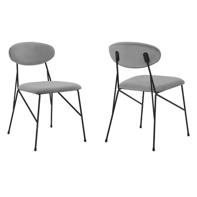 Maciejewski Velvet Side Chair in Gray - Image 0