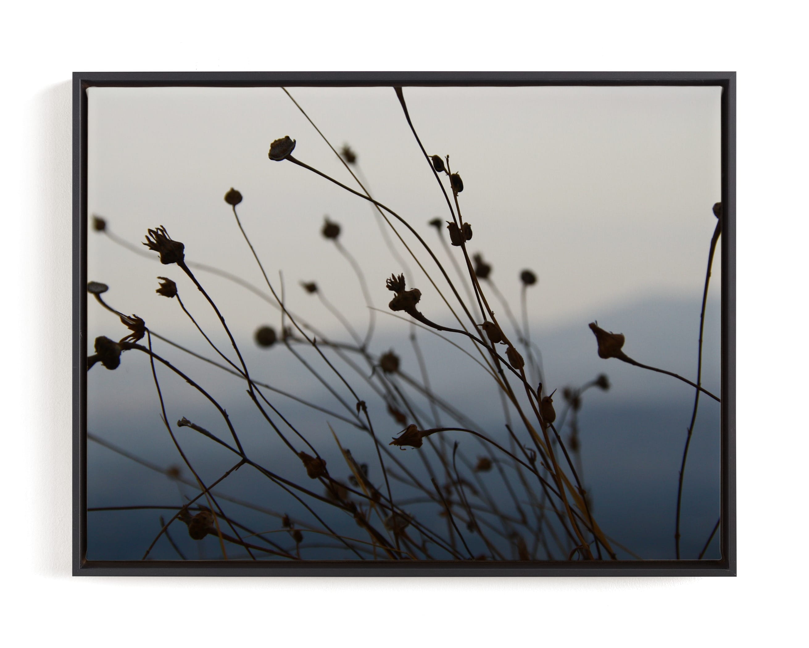 Sway Limited Edition Fine Art Print 1 - Image 0