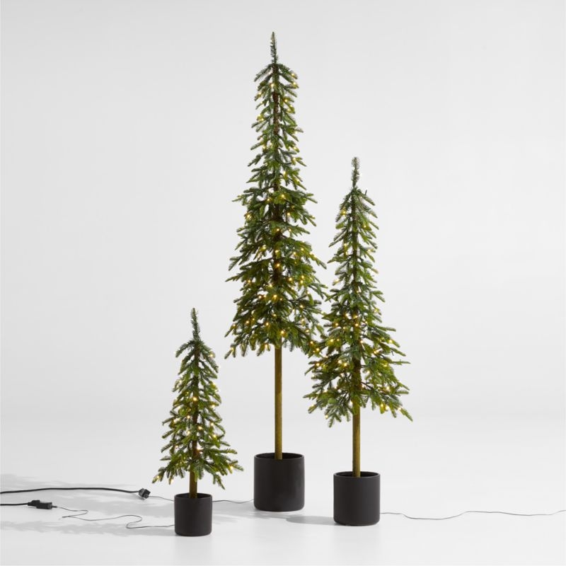 Potted Faux Slim Alpine Pre-Lit LED Tree with White Lights 5' - Image 1