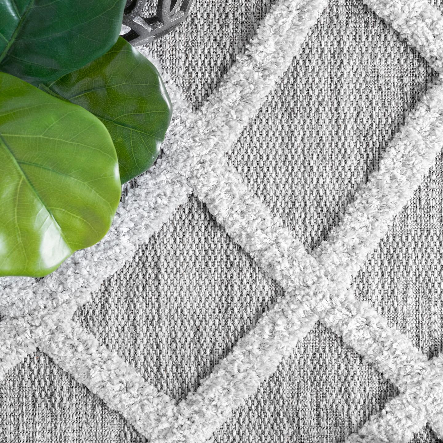 Carly Raised Fishnet Trellis Area Rug - Image 5