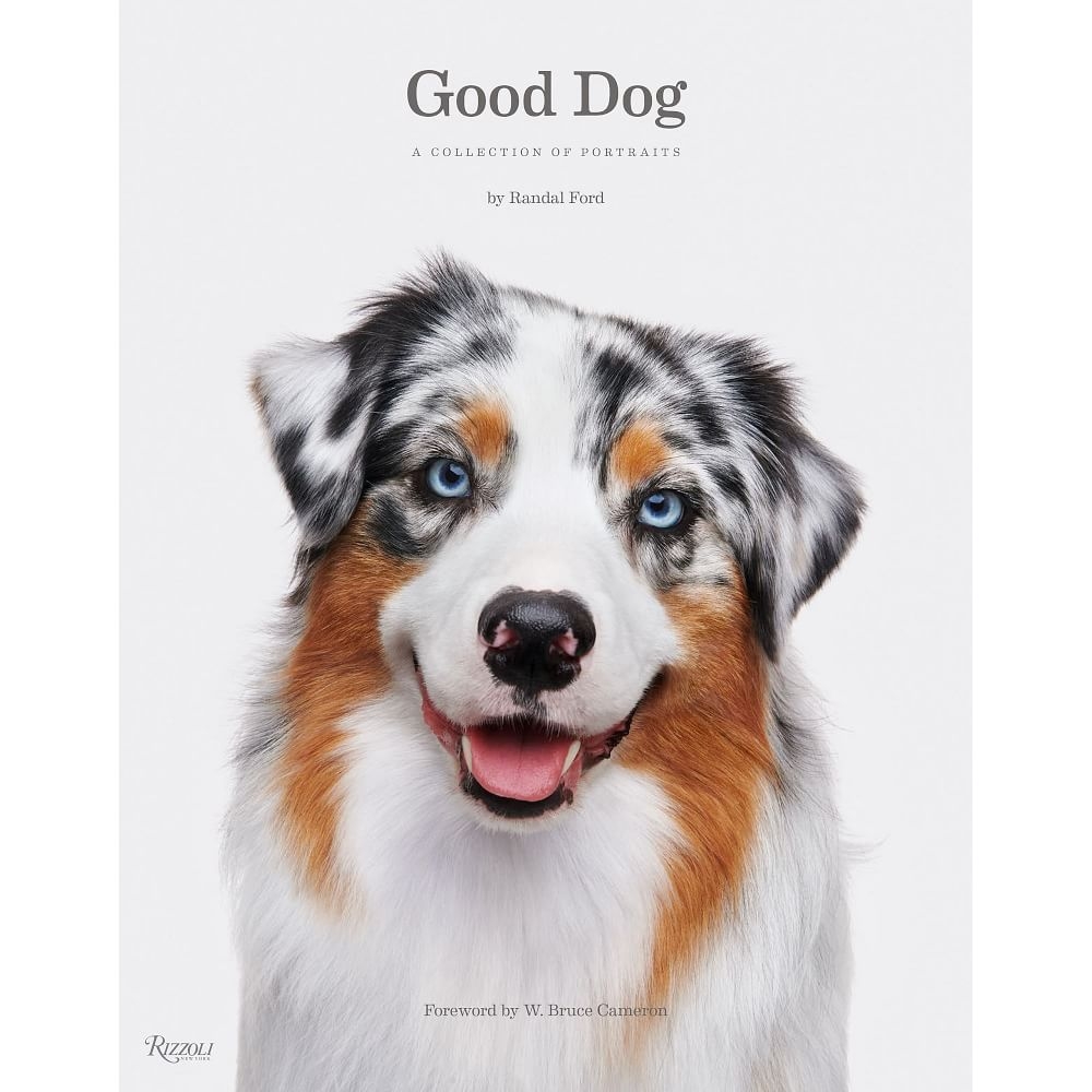 Good Dog - Image 0
