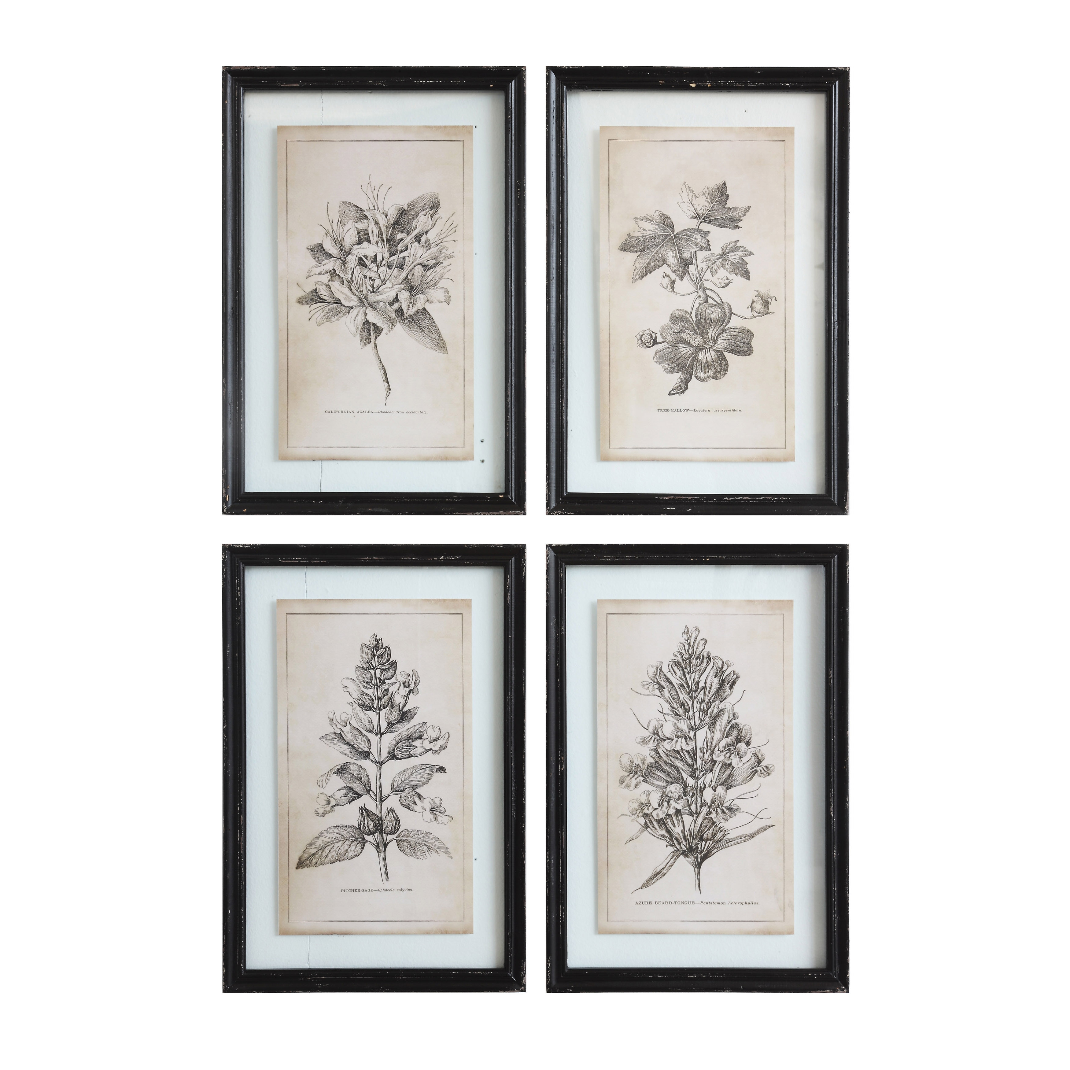 Wood Framed Wall Décor with Floral Images (Set of 4 Designs) - Image 0