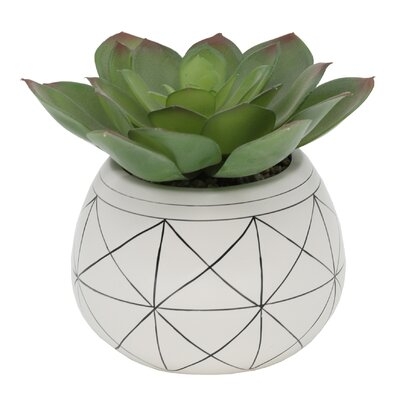 Geo Hand Painted Ceramic Agave Plant in Planter - Image 0