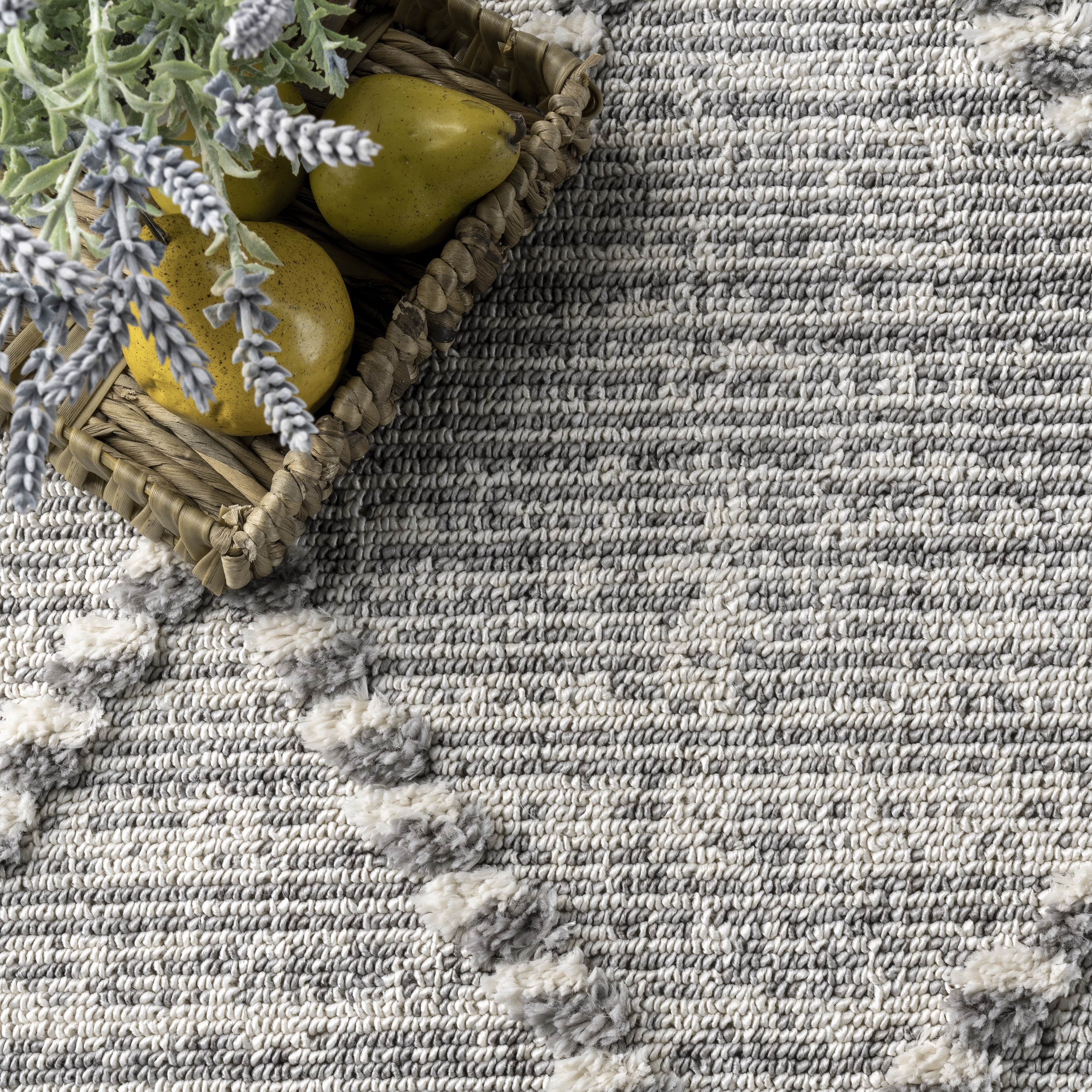 Skylar Textured Trellis Tasseled Area Rug - Image 5