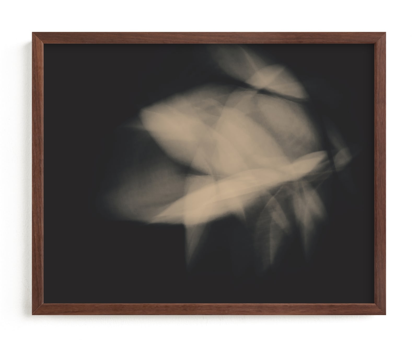 Flower Dance II Limited Edition Fine Art Print 2 - Image 0