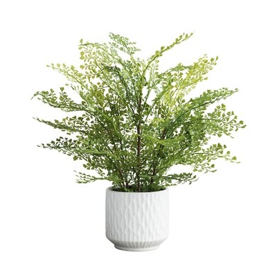 Artificial Fern Plant in Pot, 15" - Image 0