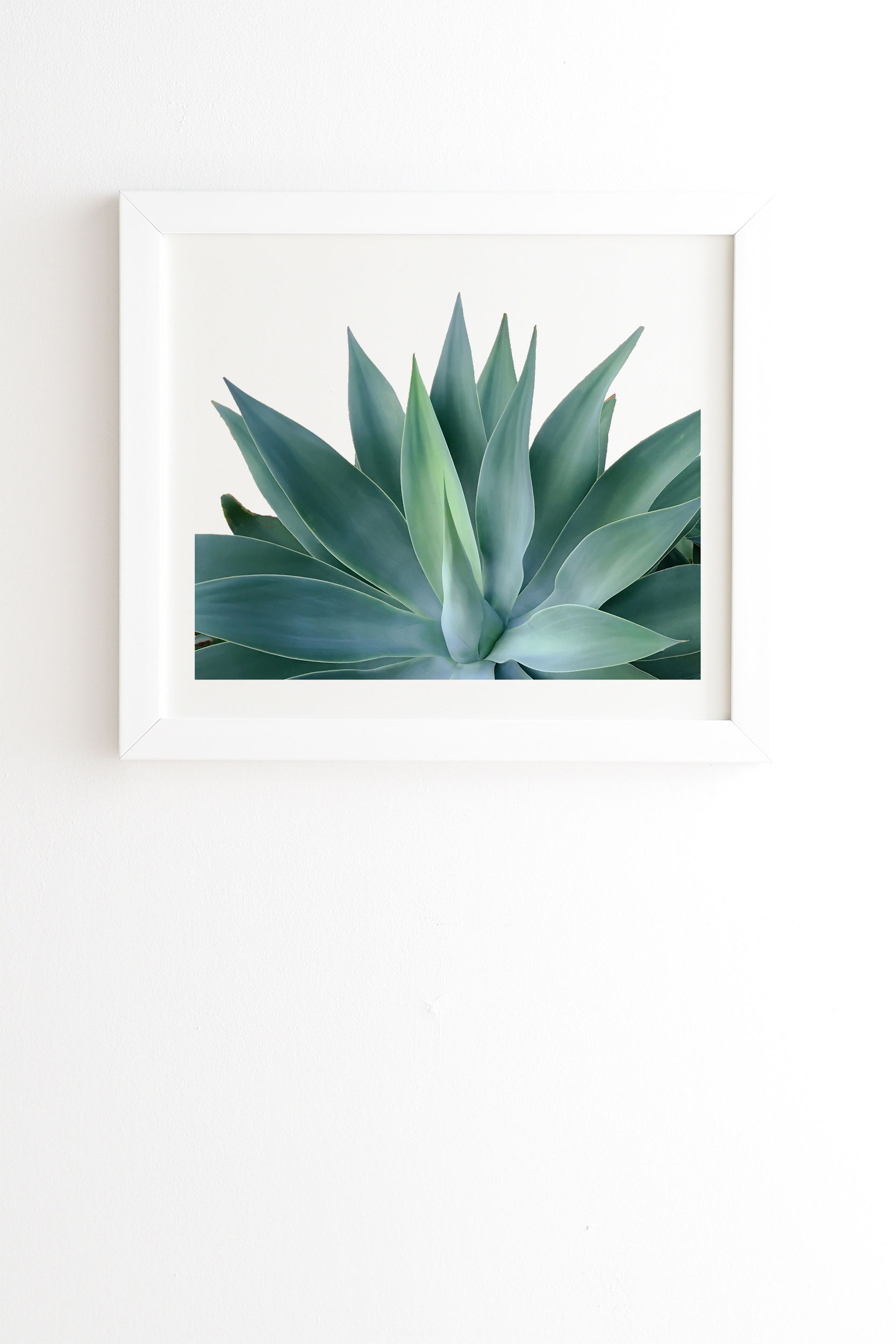 Agave Blanco by Gale Switzer - Framed Wall Art Basic White 19" x 22.4" - Image 0
