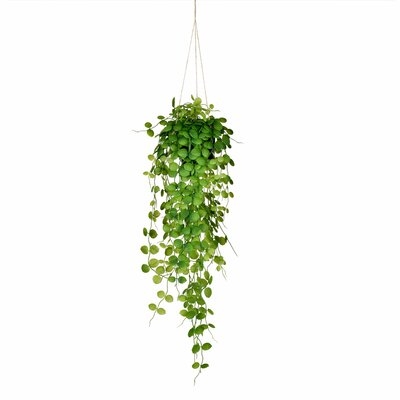 Artificial Ivy Plant - Image 0
