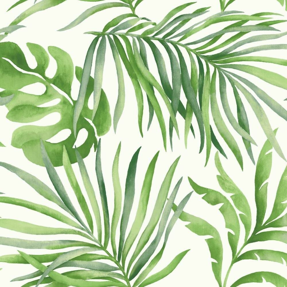 "York Wallcoverings Candice Olson Paradise Palm 27"" L x 27"" W Wallpaper Roll" - Image 0