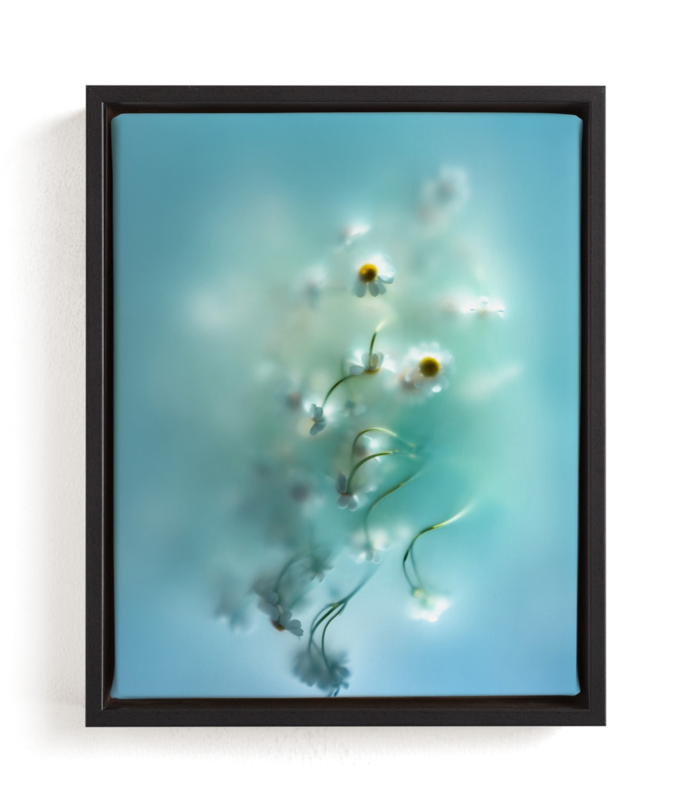 Daisies In Aqua Limited Edition Fine Art Print 2 - Image 0