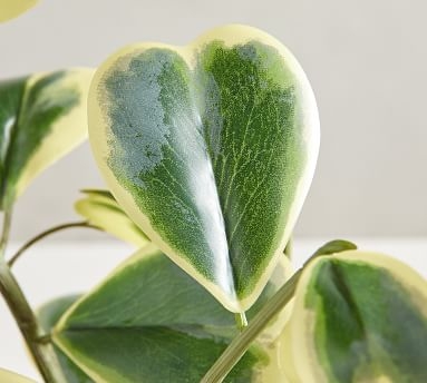 Faux Potted Houseplant, Trailing Heart - Image 1