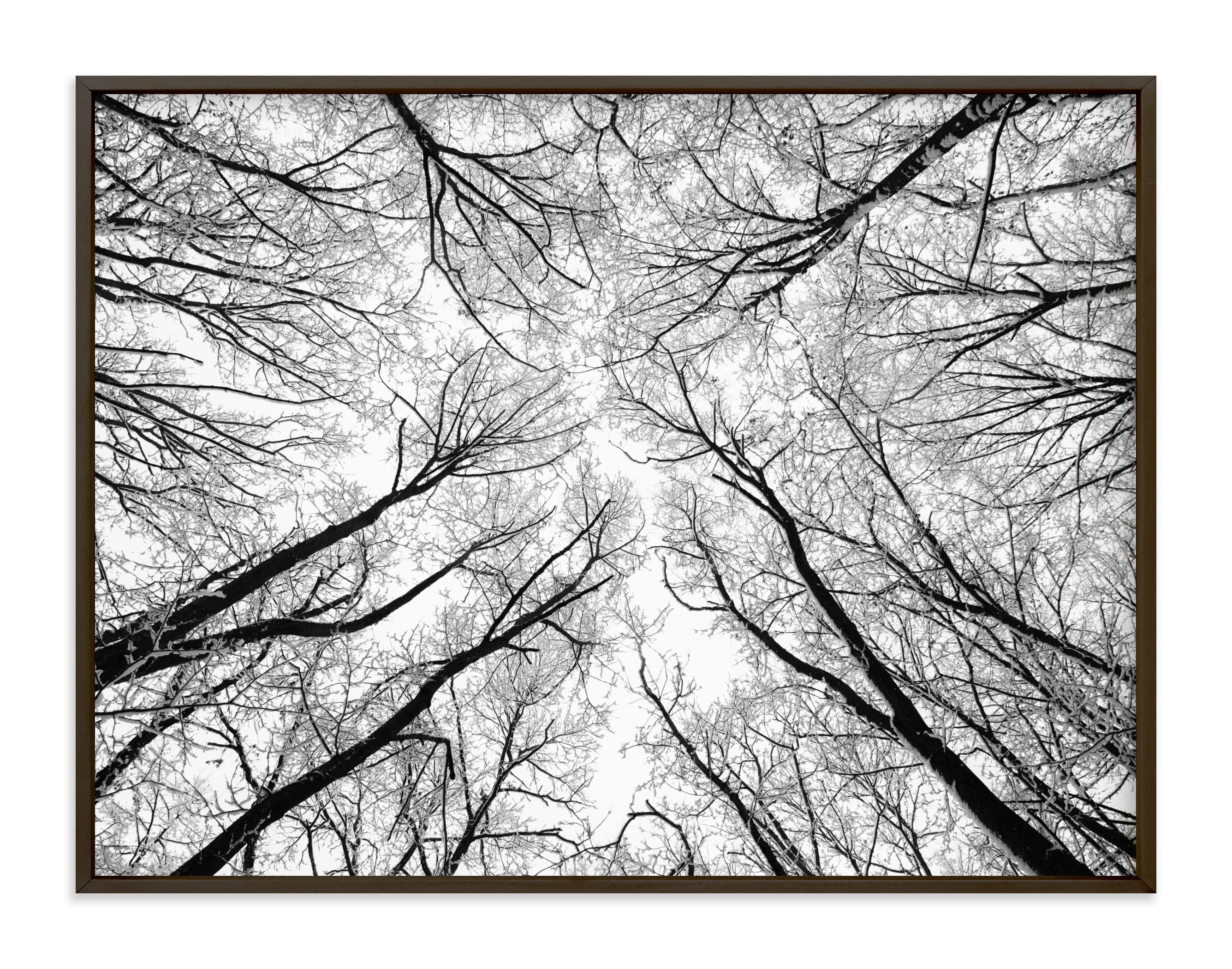 Lost In The Forest Art Print - Image 0