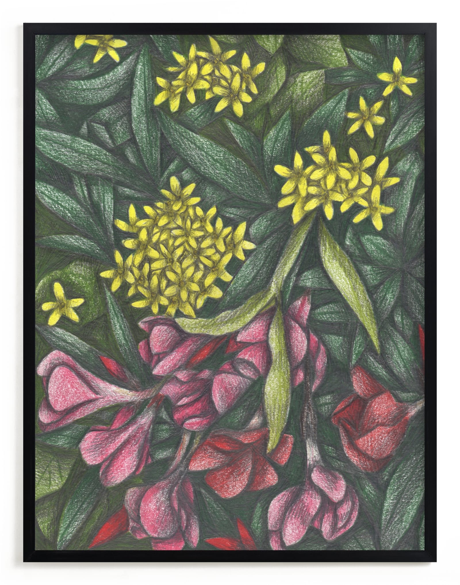 Mediterranean Bush Limited Edition Fine Art Print 2 - Image 0