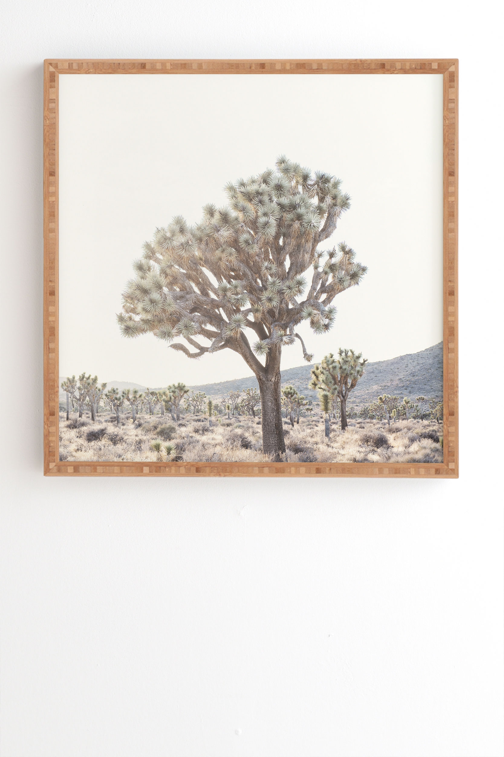 Desert Light by Bree Madden - Framed Wall Art Bamboo 20" x 20" - Image 1