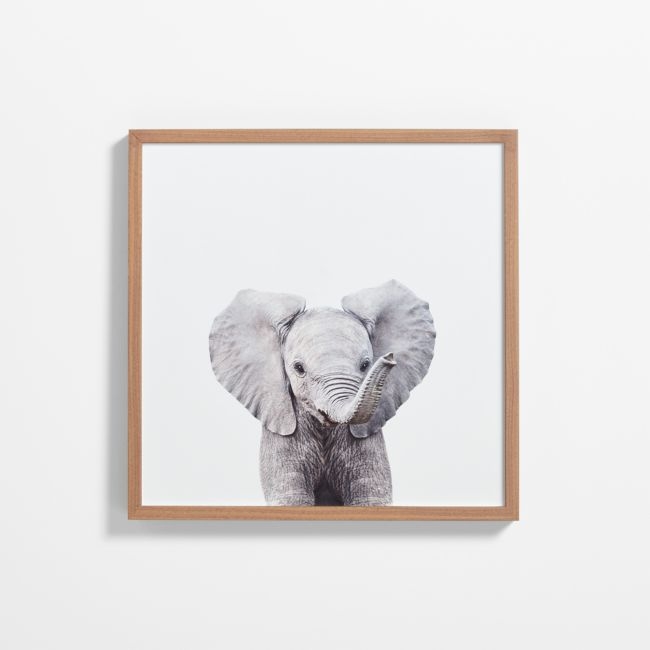 Baby Elephant Walnut Wood Framed Wall Art Print - Image 0