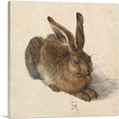 ARTCANVAS Young Hare 1502 Canvas Art Print By Albrecht Durer - Image 0