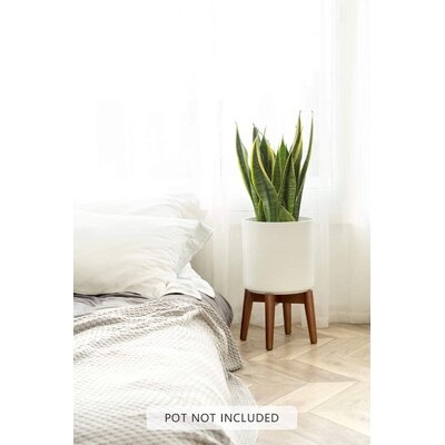 Plant Stand, Fit 10 Inch Plant Pot - Image 0