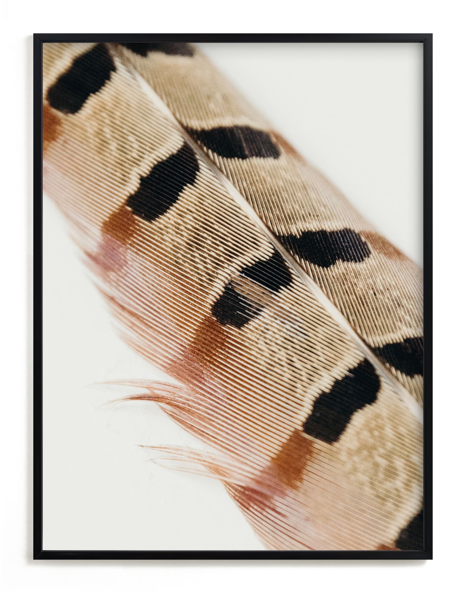 Feather Study I Limited Edition Fine Art Print 2 - Image 0
