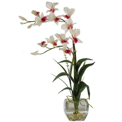 Dendobrium Flowering Plant in Decorative Vase - Image 0