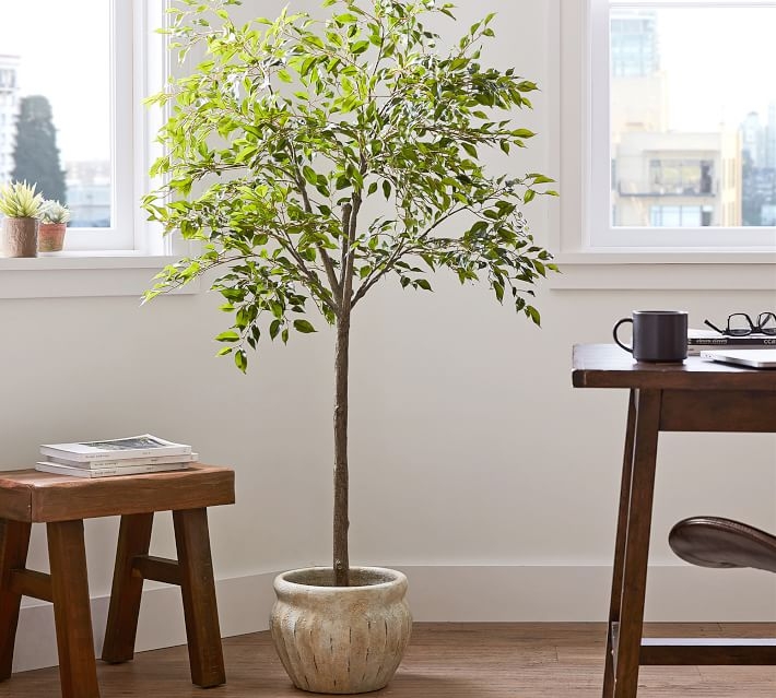 Faux Potted Triangular Ficus, 55" - Image 3