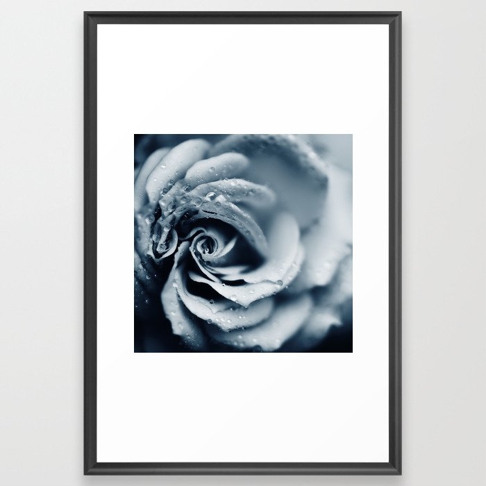 Rose - Powder Blue Framed Art Print by Ingrid Beddoes Photography - Scoop Black - Large 24" x 36"-26x38 - Image 0