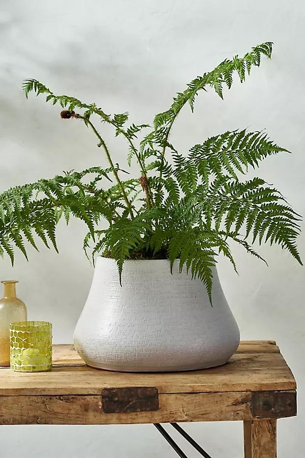 Wide Base Terracotta Drop Planter - Image 0