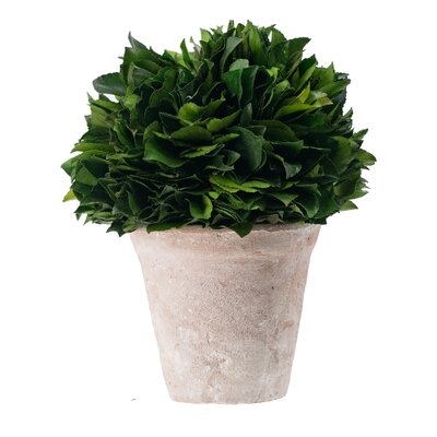Faux Holly Plant in Ceramic Pot - Image 0