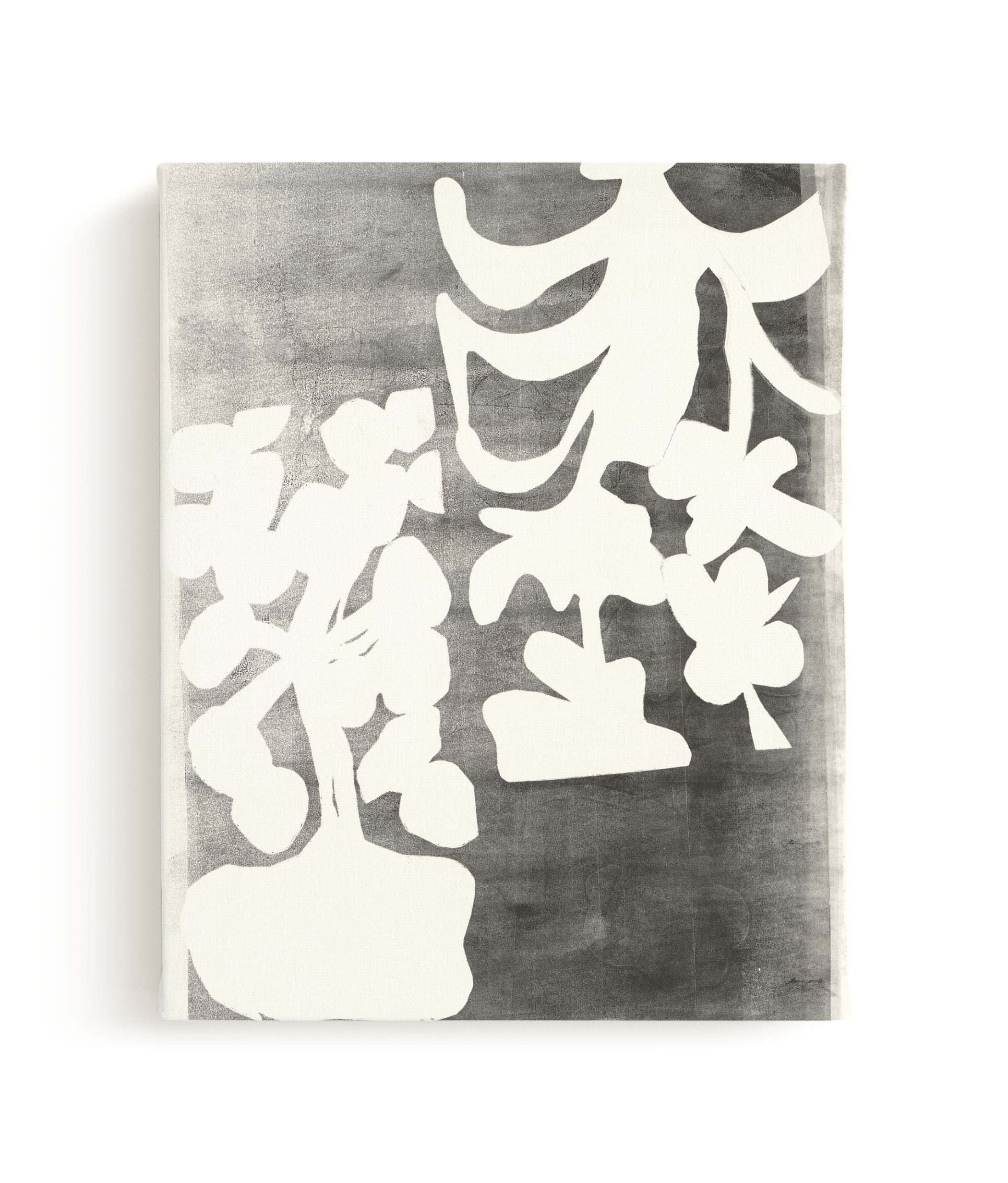 Modern Floral Series #2 Limited Edition Fine Art Print 1 - Image 0