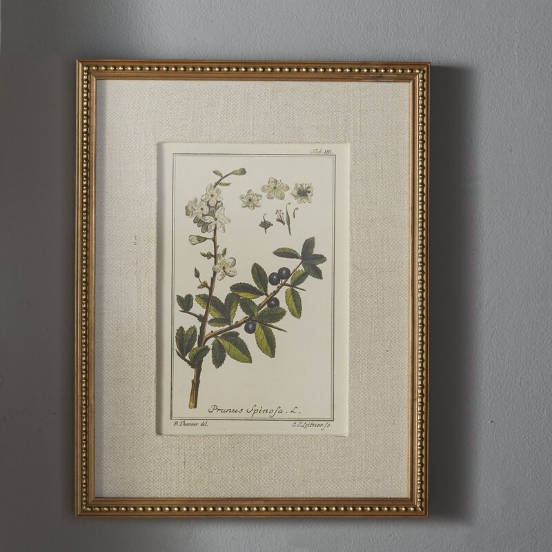 Floral Botanical Study by Grace Feyock, Picture Frame Graphic Art, Set of 6 - Image 5
