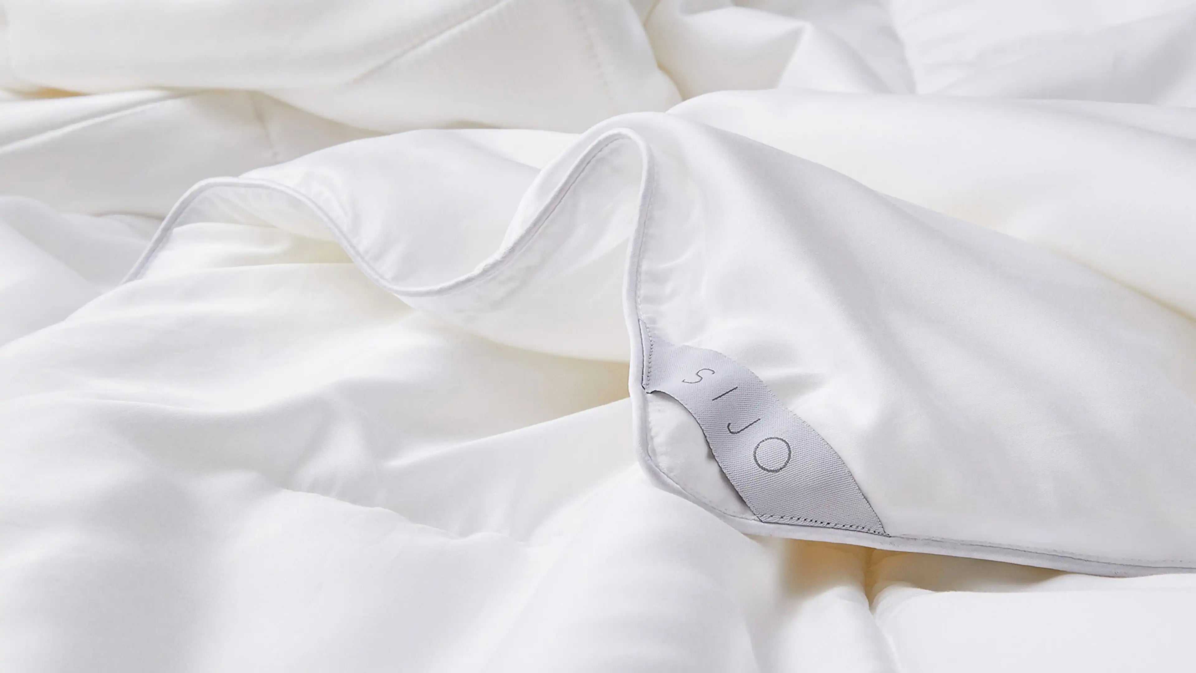 Eucalyptus Duvet Insert - King/Cal King / N/A - Image 1