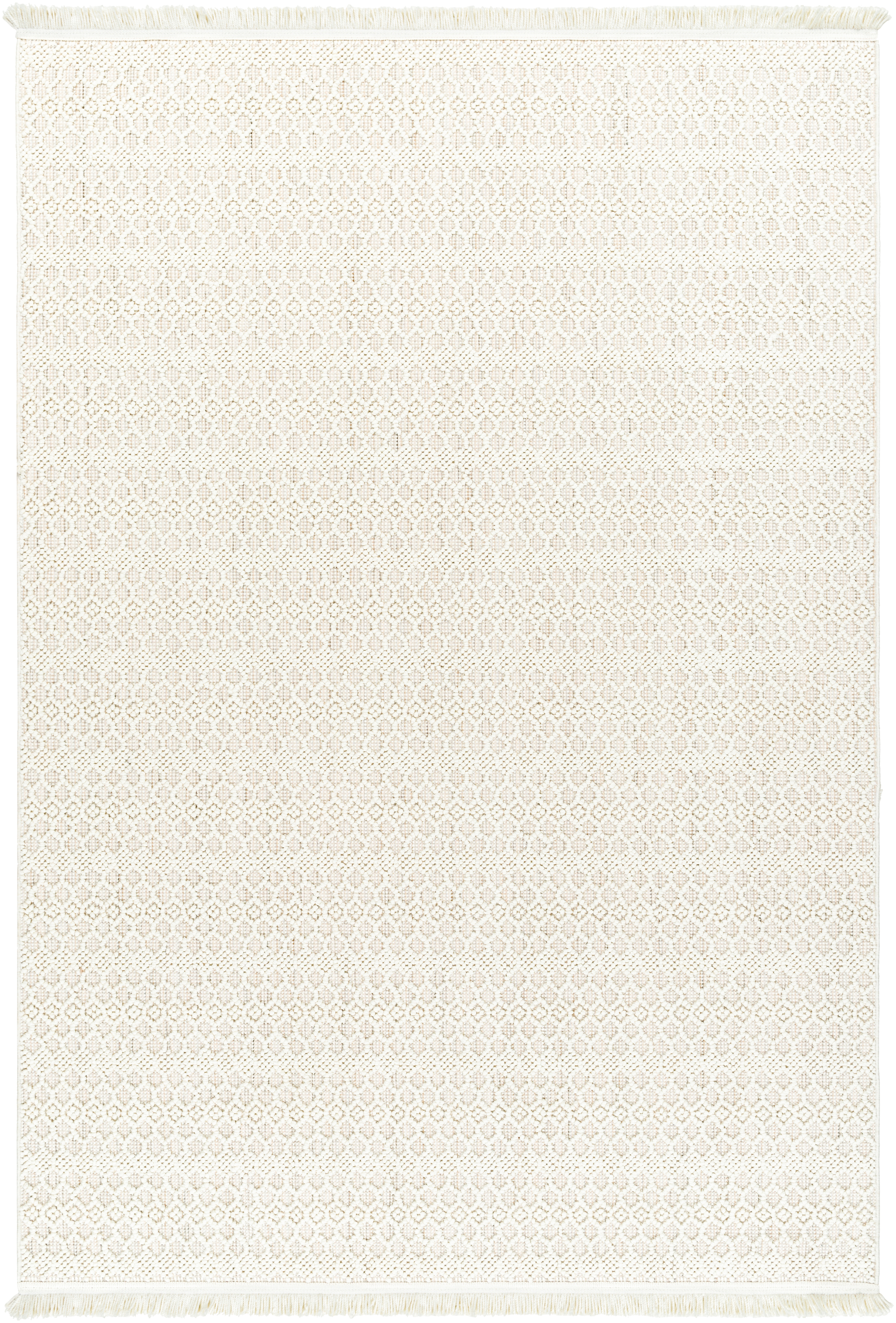 New Delhi Beige Indoor 8'11" x 12' Machine Woven Rug - Image 0