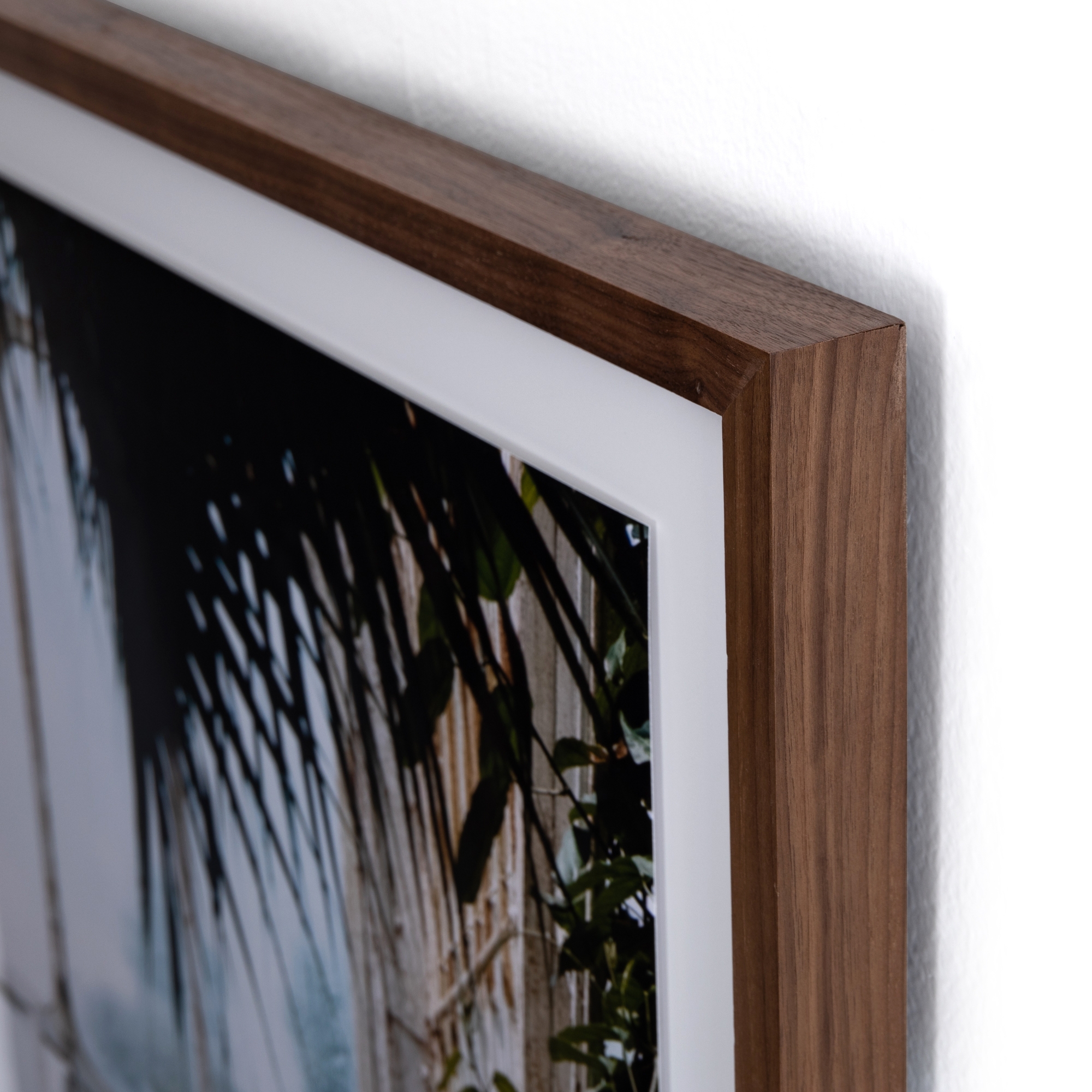 Greenhouse II by Annie Spratt - Walnut 2.5 - Image 3