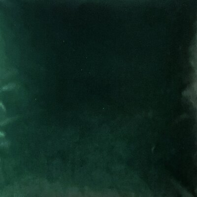 Velvet Throw Pillow - Image 0